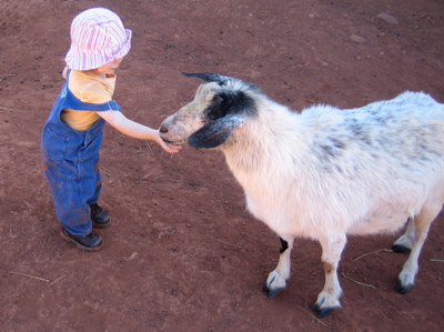 Erika touching a goat